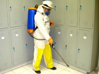 /album/galeria-de-fotos-phenix-service/dedetizando-jpg/