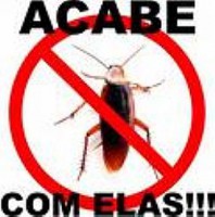 /album/galeria-de-fotos-phenix-service/img1229796a-jpg/