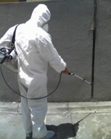 /album/galeria-de-fotos-phenix-service/a1269627964-83810610-1-fotos-de-3433-9597-dedetizacao-em-bh-lacraia-em-bh-cupim-em-bh-inseto-em-bh-jpg/